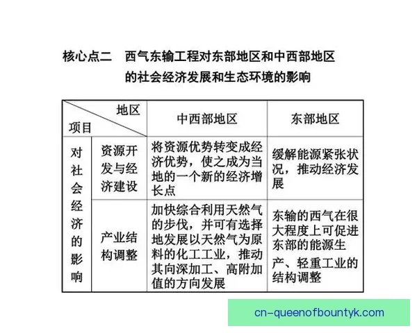 卡皮1-2皮内托在地区发展中的作用与影响分析